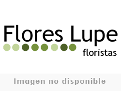 Ramo de 15 rosas rojas