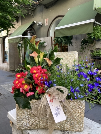 Cesta grande de plantas de flor