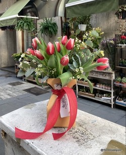 0 Tulipanes en base