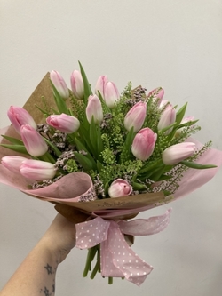 0 Tulipanes