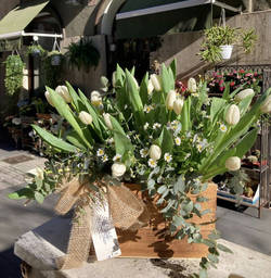 0 Tulipanes en caja de madera