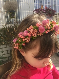 Diadema Pome